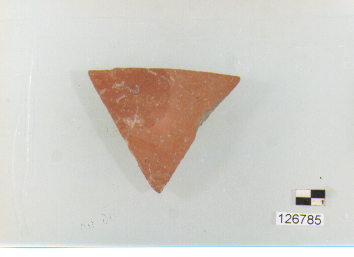 piatto/ parete (sec. II a.C.-IV d.C)