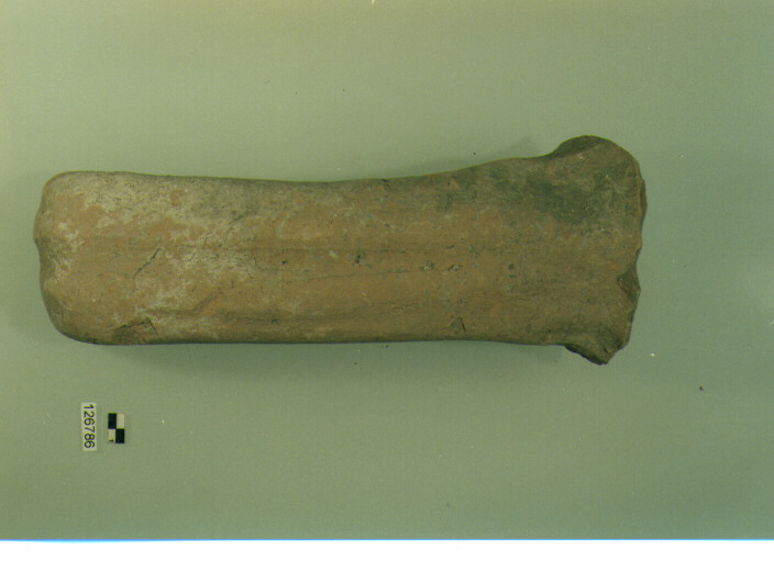 anfora/ ansa (secc. VI/ XIV d.C)