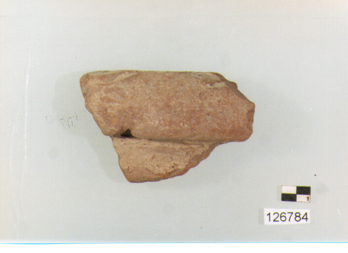 anfora/ orlo (secc. VI/ XIV d.C)