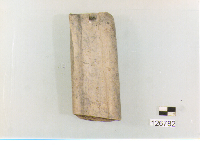 ansa (secc. VI/ XIV d.C)