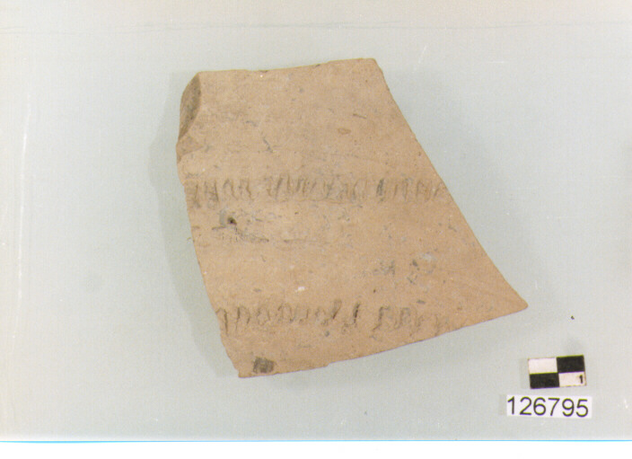 parete (secc. VI/ XIV d.C)