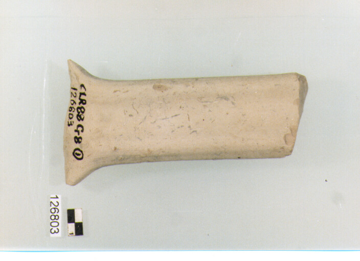 ansa (secc. VI/ XIV d.C)