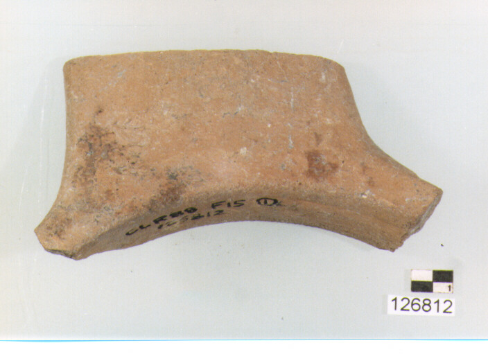 ORLO (secc. VI/ XIV d.C)