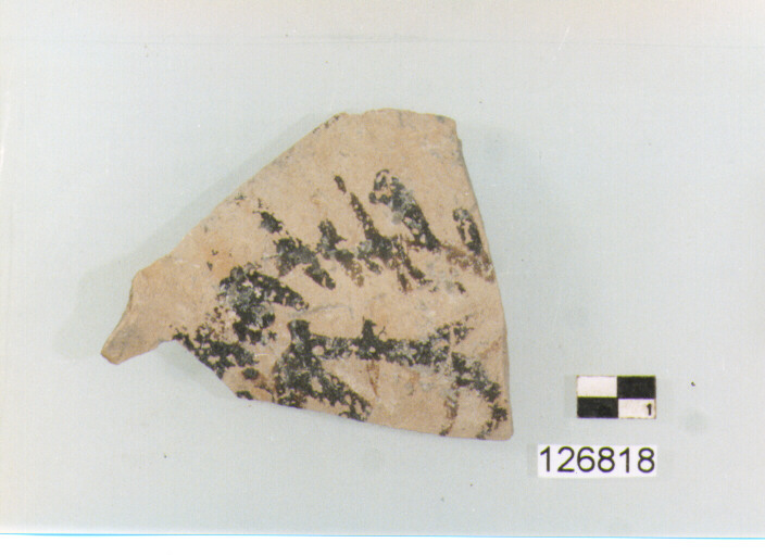 parete (secc. VI/ X d.C)