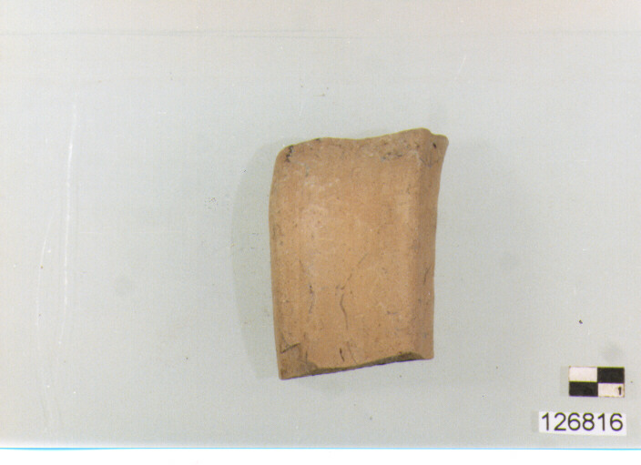 ansa (secc. VI/ XIV d.C)