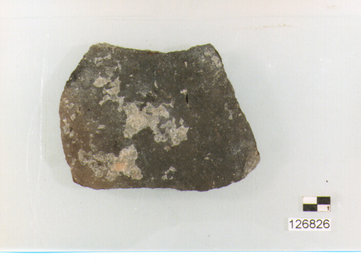 coperchio/ parete (secc. VI/ XIV d.C)