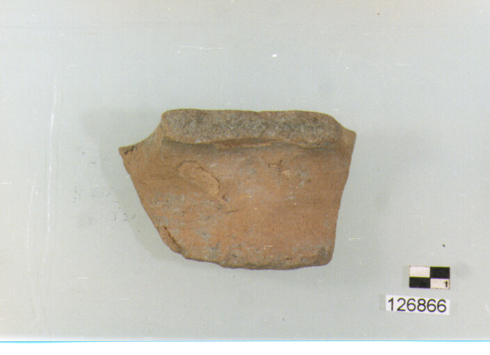 ORLO (secc. VI/ XIV d.C)