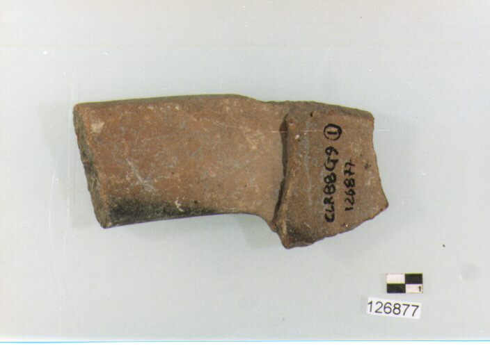 ansa a nastro (secc. VI/ XIV d.C)