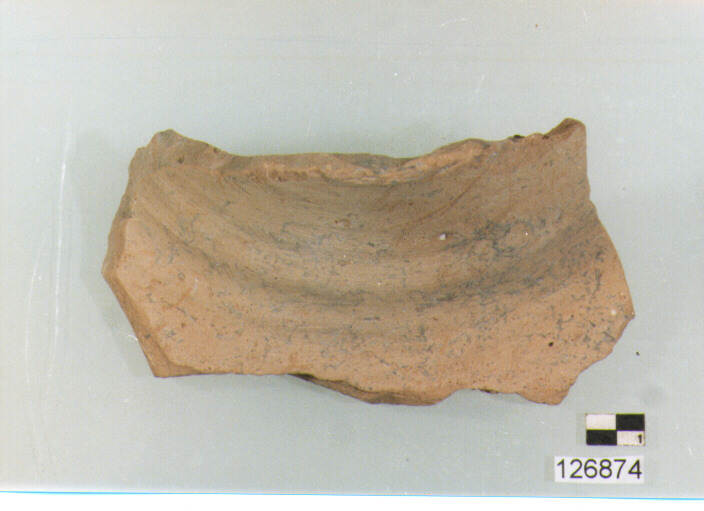 anfora/ collo (secc. VI/ XIV d.C)