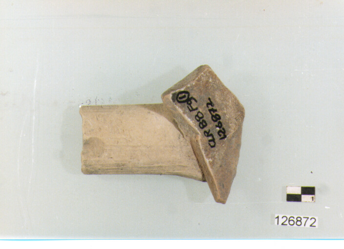 ansa (secc. VI/ XIV d.C)