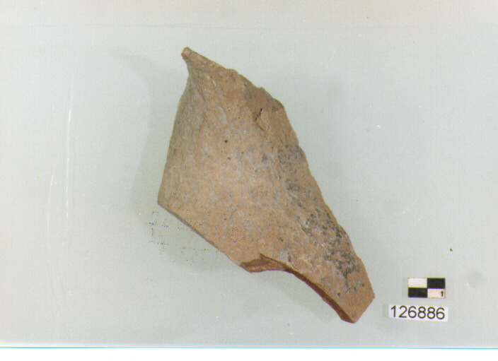 Bottiglia/ collo (secc. VI/ XIV d.C)