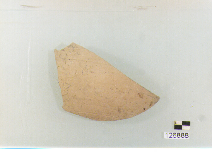 olla/ parete (secc. VI/ XIV d.C)