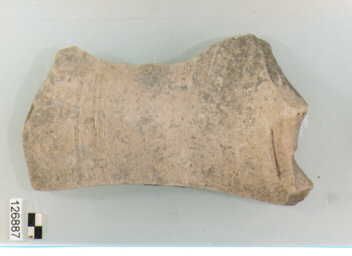 anfora/ parete (secc. VI/ XIV d.C)