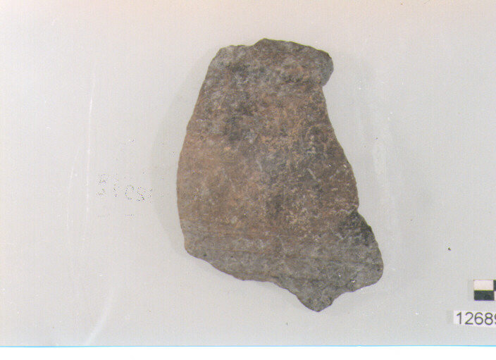 olla/ parete (secc. VI/ XIV d.C)