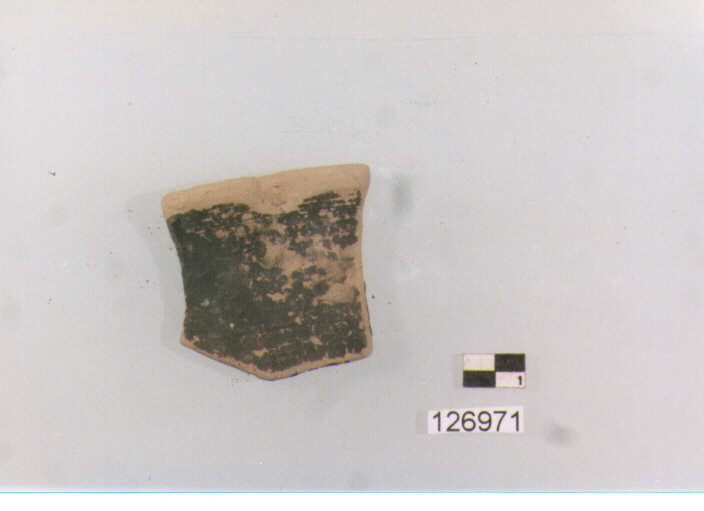 piatto/ orlo (secc. III/ I a.C)