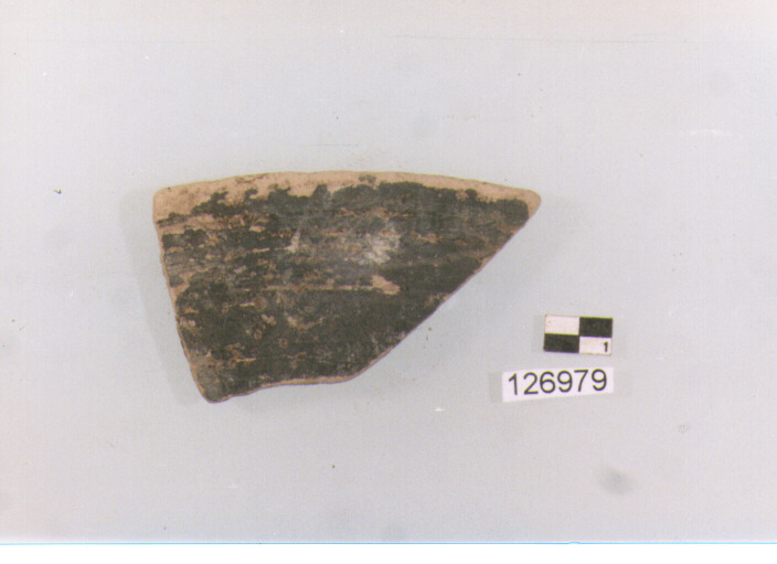 coppa/ orlo (secc. III/ I a.C)