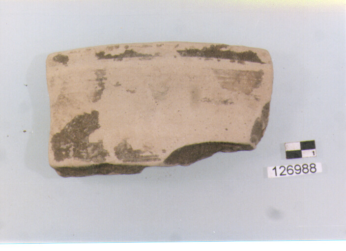 anfora/ orlo (secc. VI/ XIV d.C)