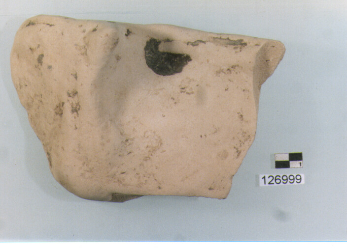 VOTIVO ZOOMORFO/ FORMA PARZIALMENTE RICOSTRUIBILE (secc. III/ I a.C)