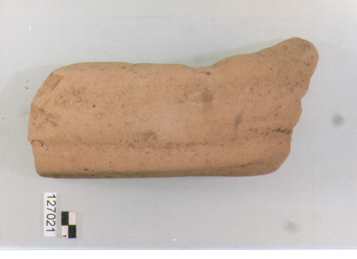 anfora/ ansa (secc. VI/ XIV d.C)