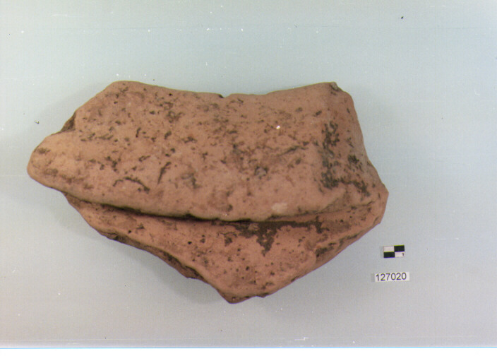 ELEMENTO DI RIVESTIMENTO (secc. III/ I a.C)