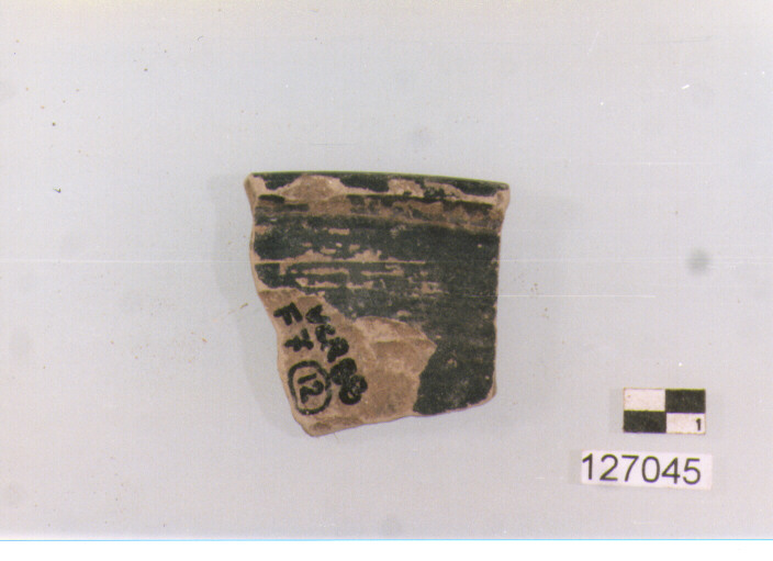 coppa/ orlo (secc. III/ I a.C)