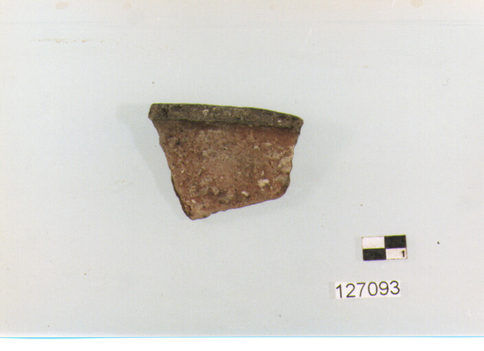 coperchio/ orlo (secc. VI/ XIV d.C)