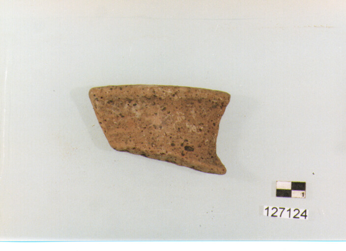 olla/ orlo (secc. VI/ XIV d.C)