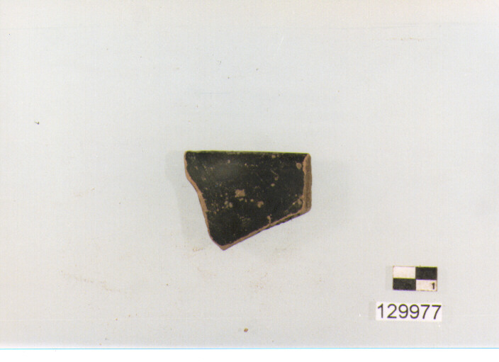 coppa/ orlo (secc. III/ I a.C)