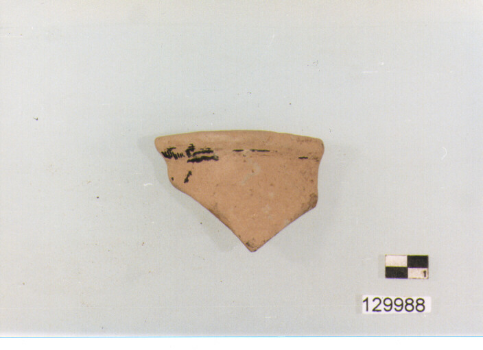 coppetta/ orlo (secc. III/ I a.C)