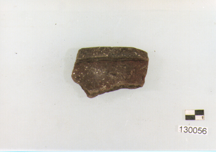 orlo (secc. VI/ XIV d.C)