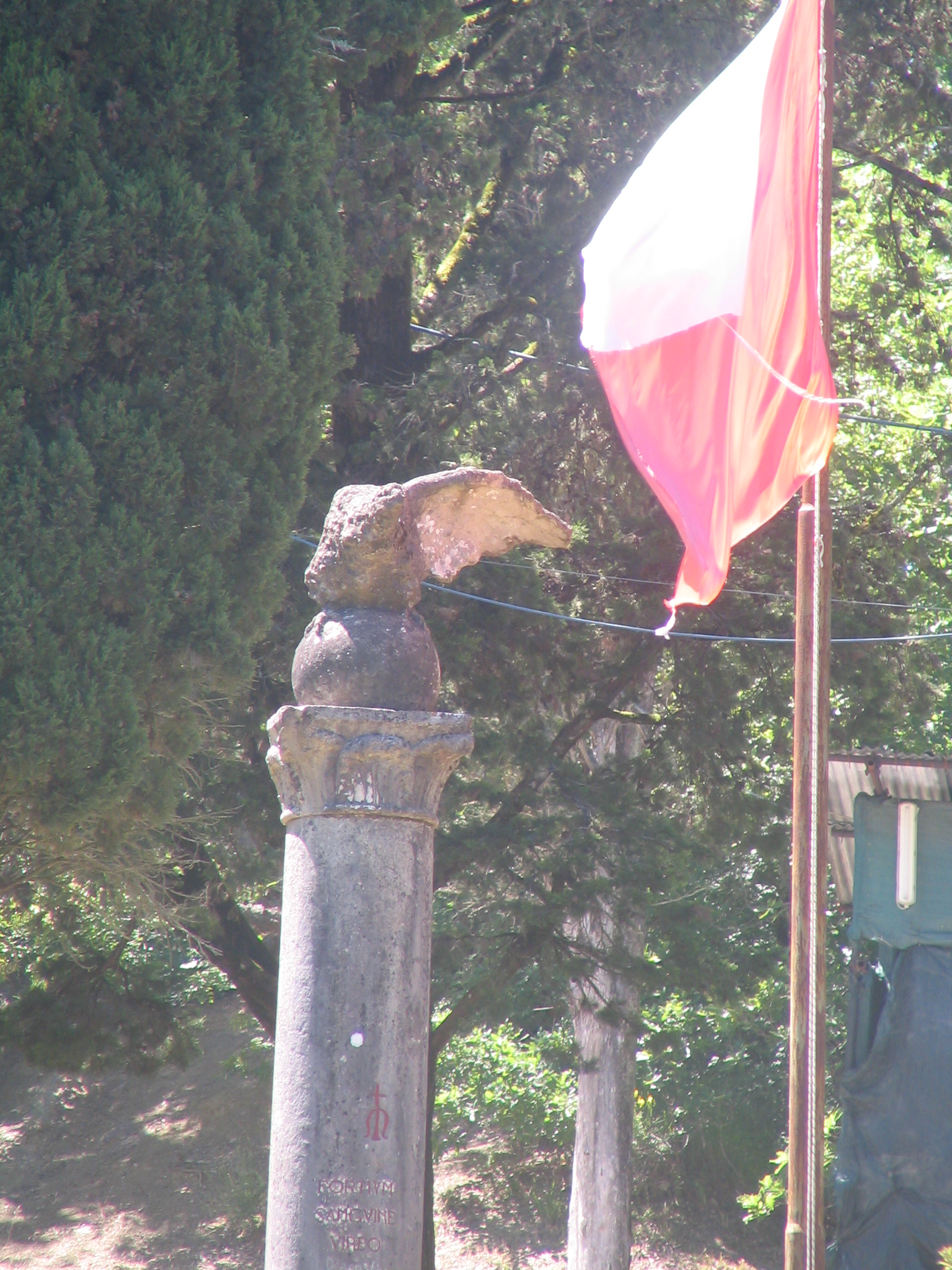 Allegoria della vittoria come aquila (monumento ai caduti - a colonna) - ambito toscano (Sec. XX)