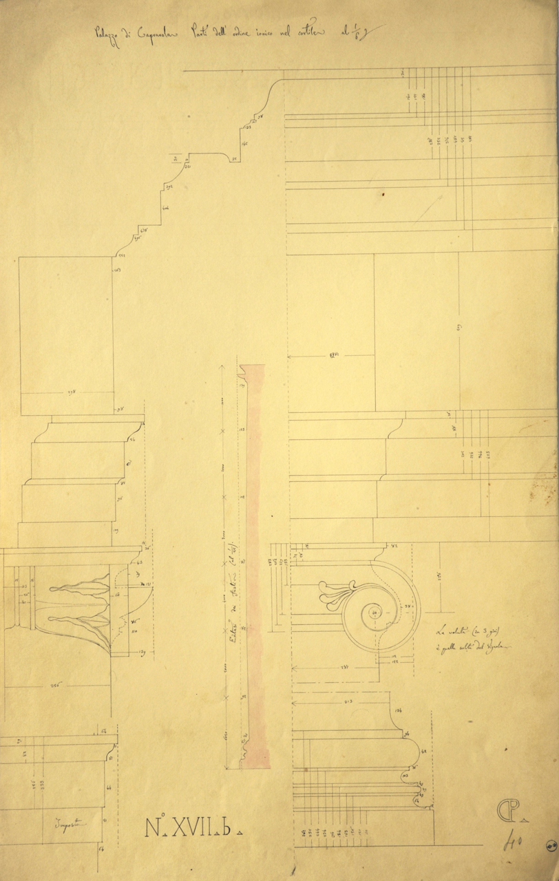 Palazzo di Caprarola. Parti dell'ordine ionico nel cortile, Dettagli costruttivi di palazzo Farnese: profilo e prospetto quotqti della trabeazione, del capitello e della base delle semicolonne del portico del primo piano; profilo quotato dell'imposta dell'arco e profilo quotato semicolonna per calcolo entasi (disegno architettonico) di Promis Carlo (secondo quarto sec. XIX)