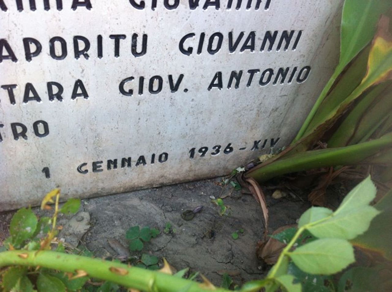lapide commemorativa ai caduti - bottega sarda (sec. XX)
