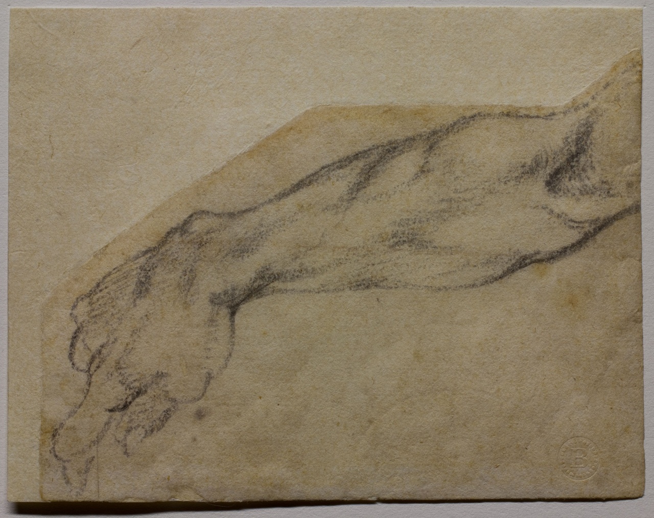 studio di braccio per una figura della Sistina (disegno) di Buonarroti Michelangelo (sec. XVI)