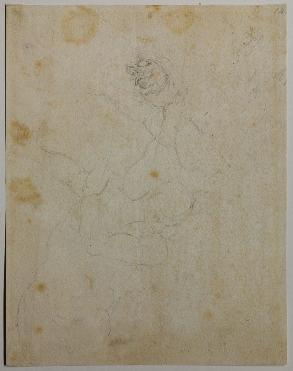 studi di figura (disegno) di Mini Antonio (attribuito) (sec. XVI)