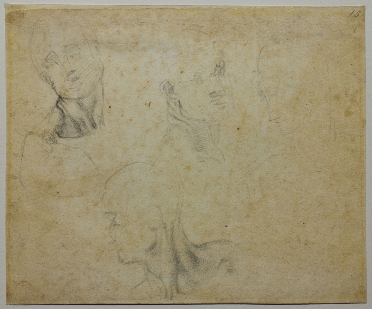 quattro studi di testa virile (disegno) di Mini Antonio (attribuito) (sec. XVI)