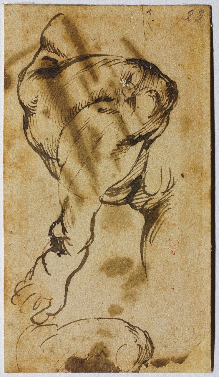 studi di gambe (disegno) di Buonarroti Michelangelo (sec. XVI)