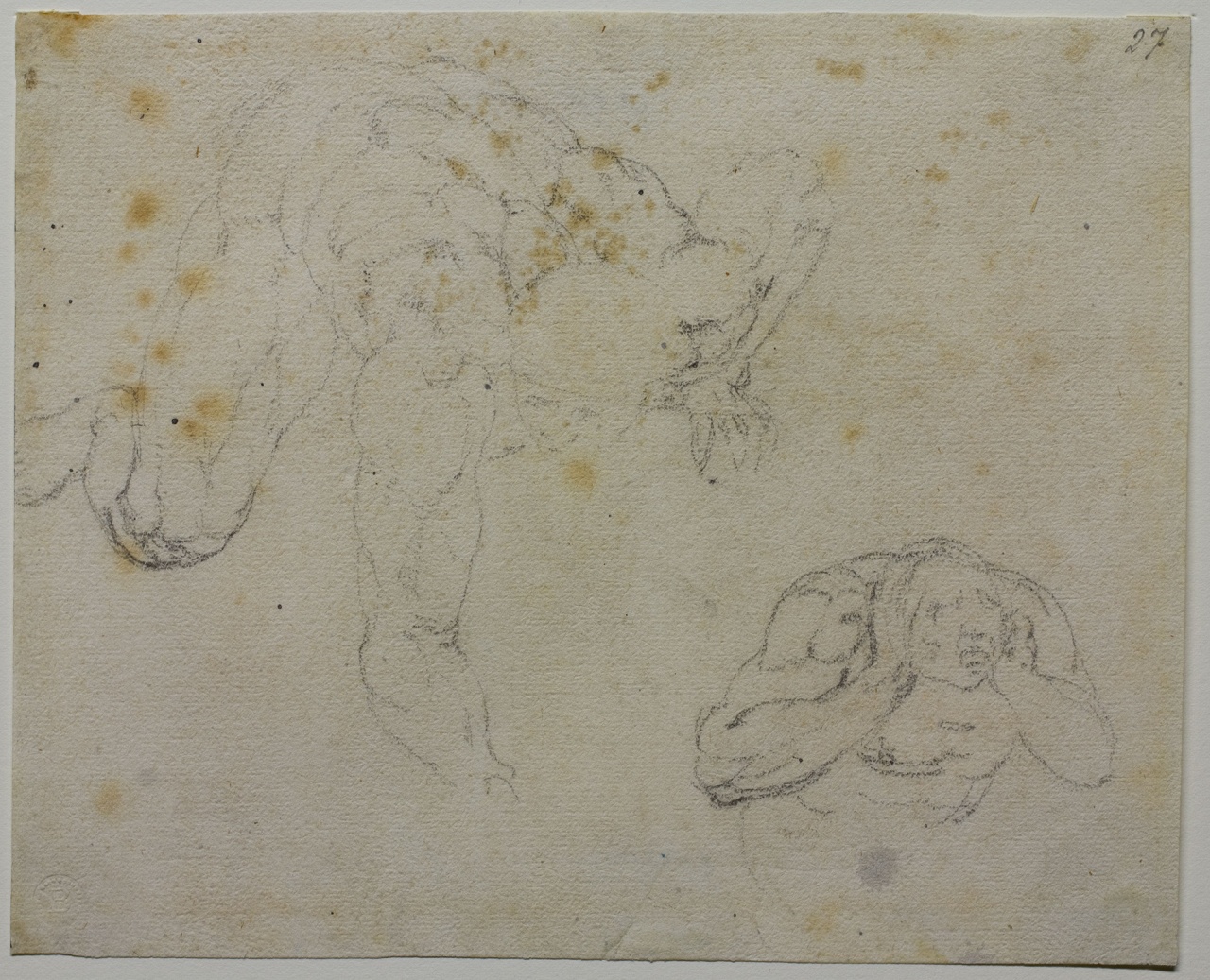 eletto e dannato (disegno) di Buonarroti Michelangelo (scuola) (sec. XVI)