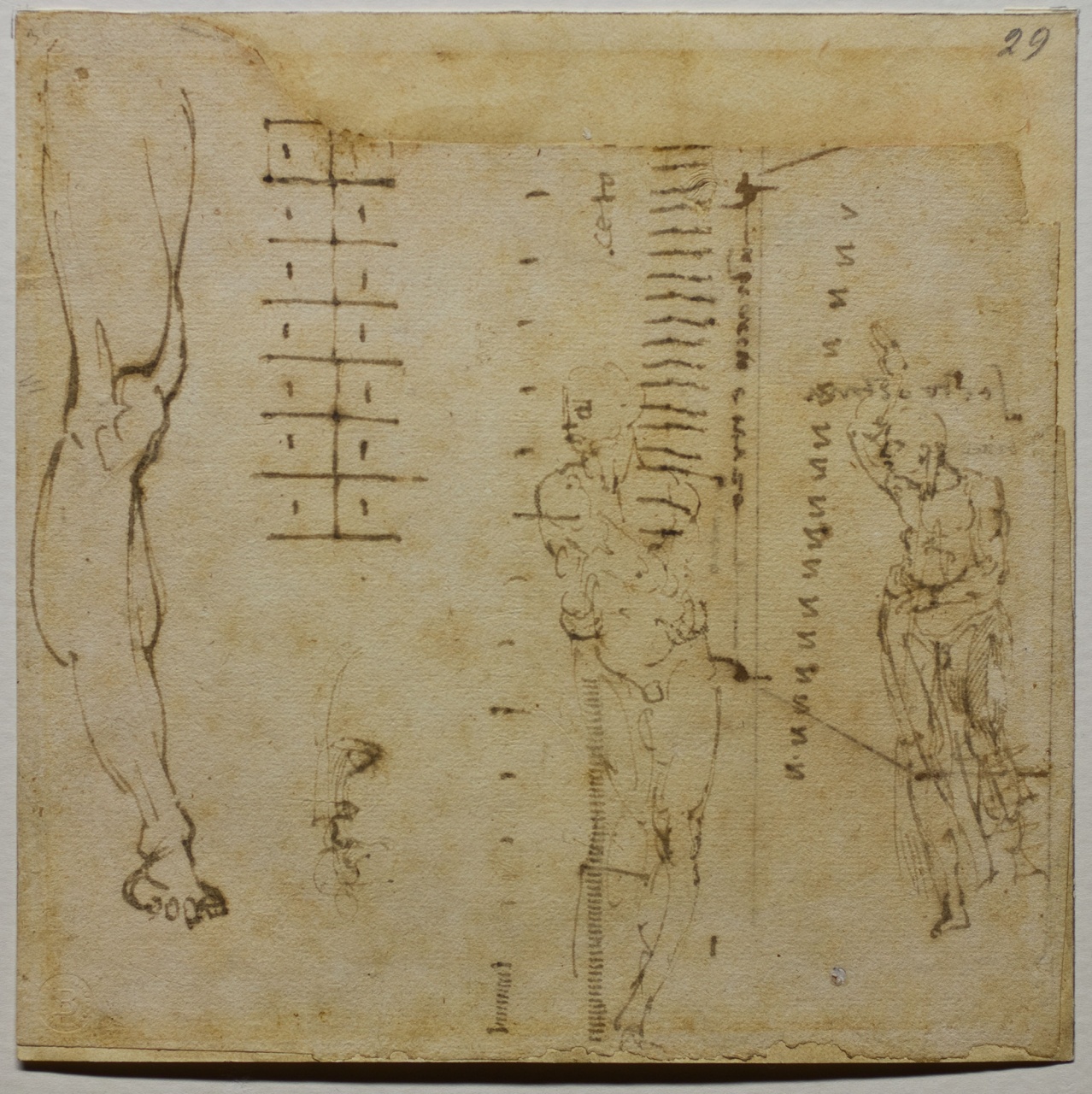 studi di figura (disegno) di Buonarroti Michelangelo (sec. XVI)