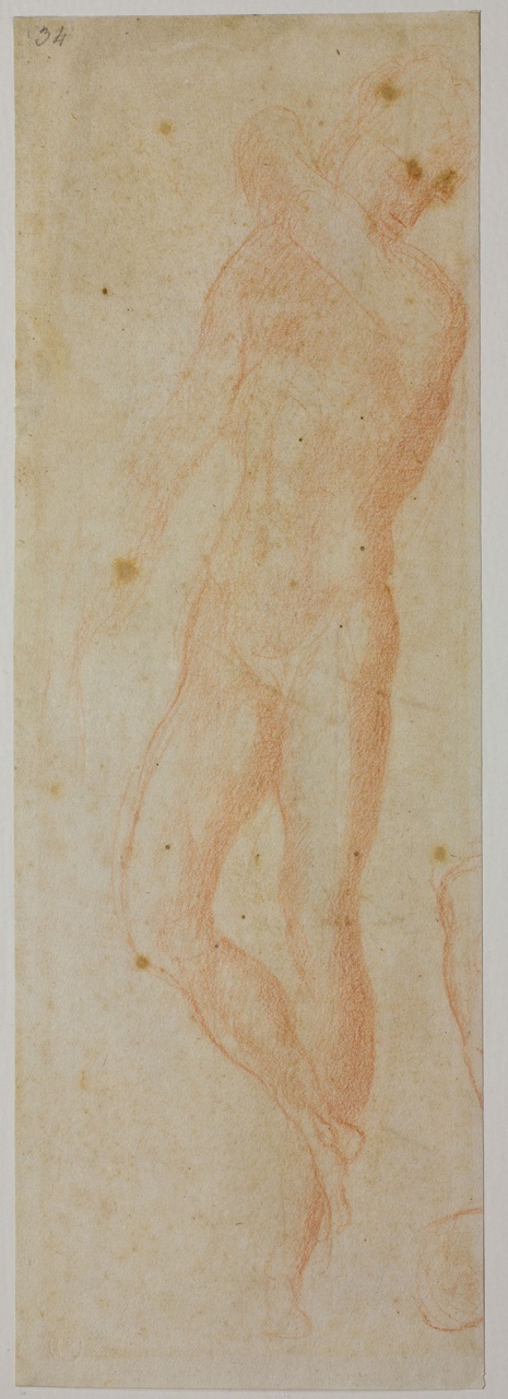 studio per nudi (disegno) di Mini Antonio (attribuito) (sec. XVI)