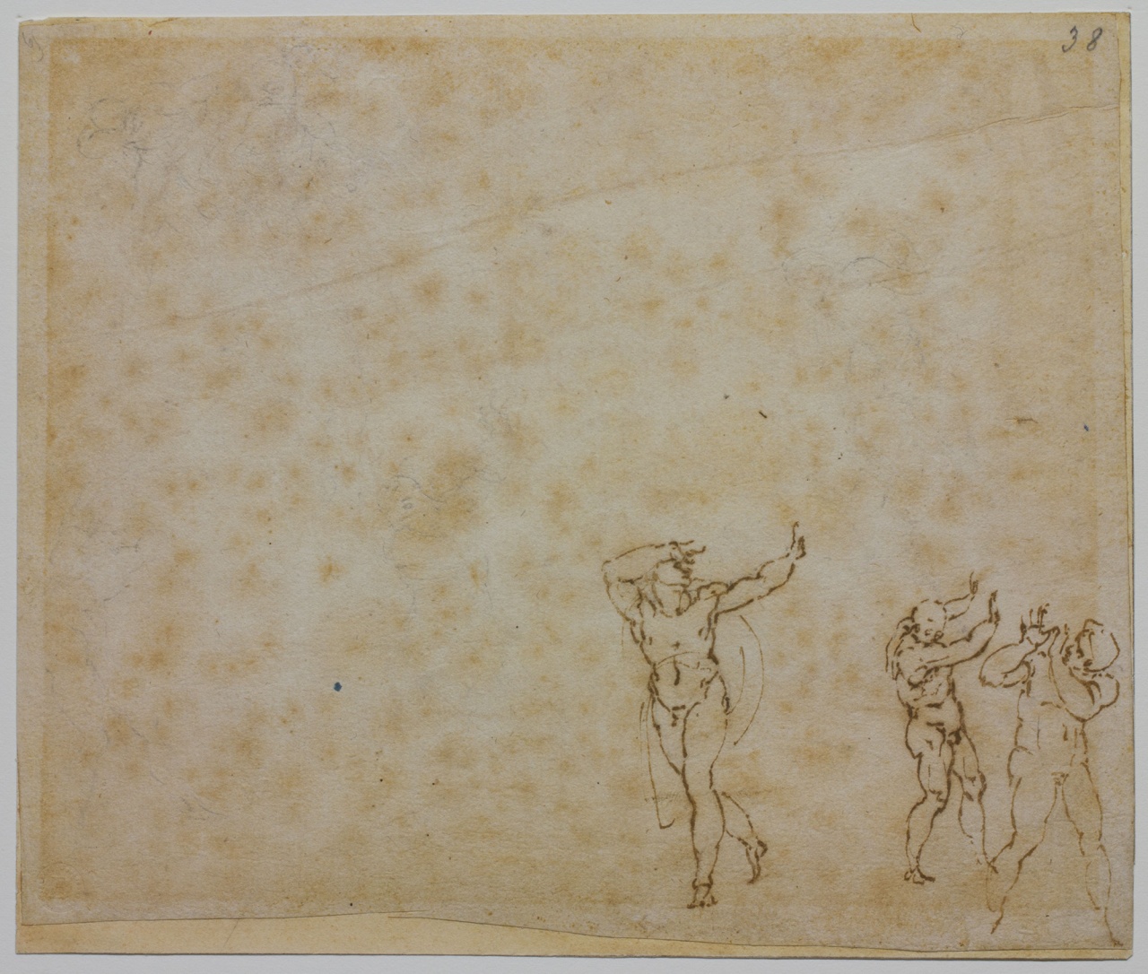 studi di figure nude (disegno) di Buonarroti Michelangelo (sec. XVI)