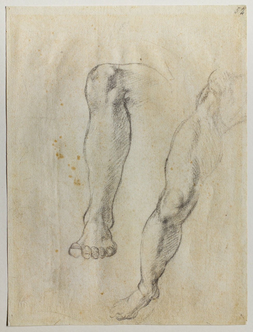 studi di gambe/ schizzi di gambe e di figura (disegno) di Buonarroti Michelangelo (attribuito) (sec. XVI)