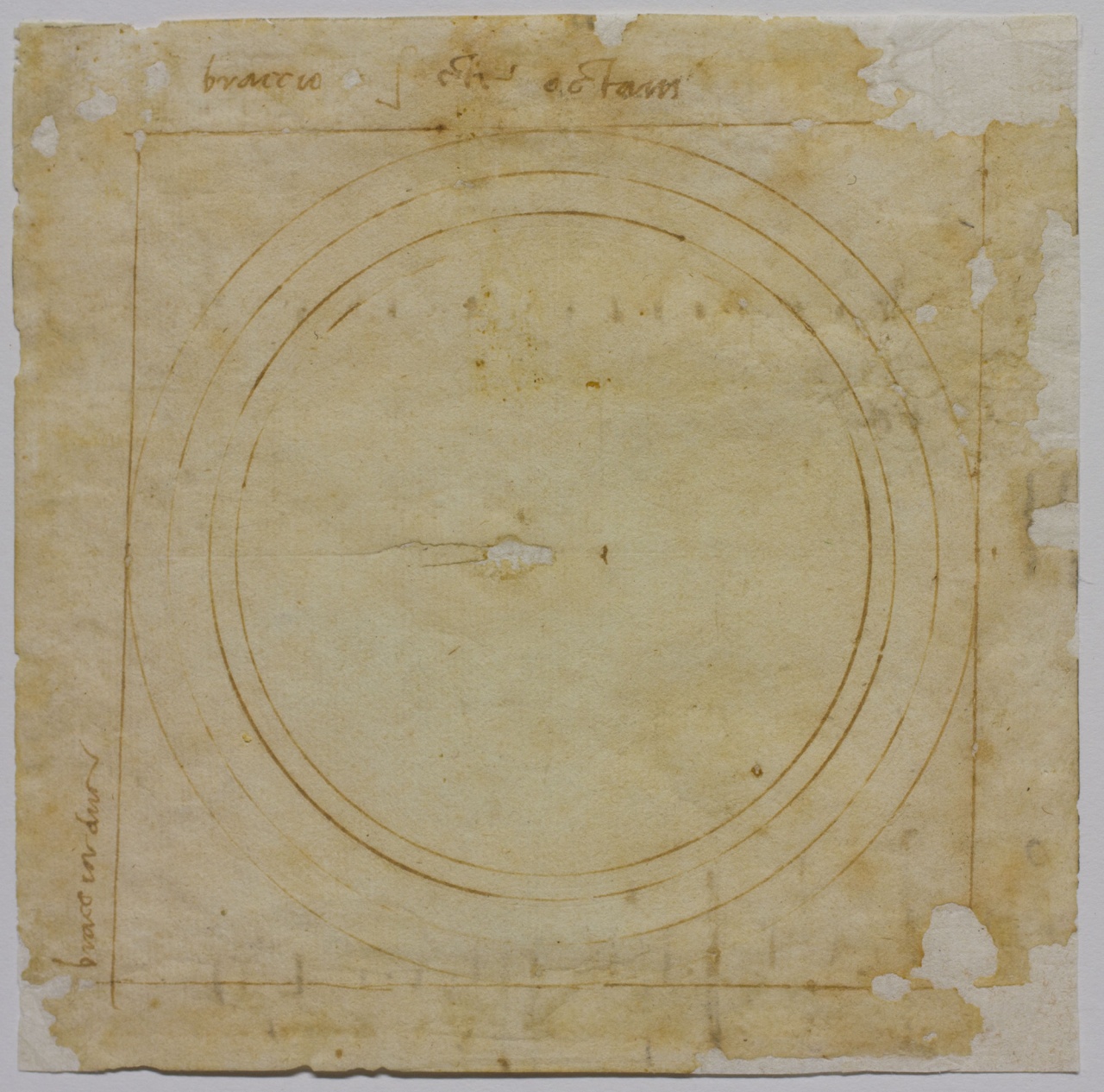 pianta di colonna con base e annotazioni autografe di misure (disegno) di Buonarroti Michelangelo (sec. XVI)