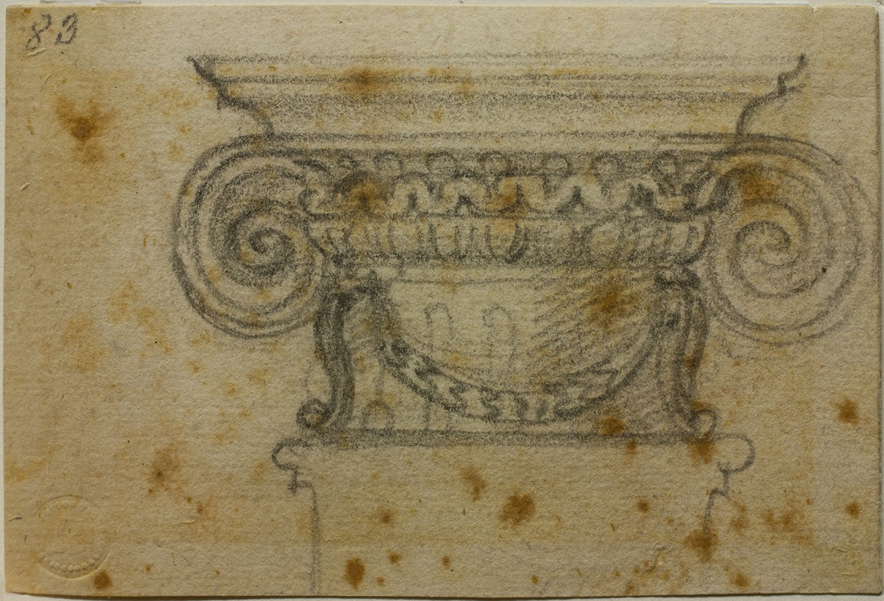 studio di capitello ionico (disegno) di Buonarroti Michelangelo (sec. XVI)