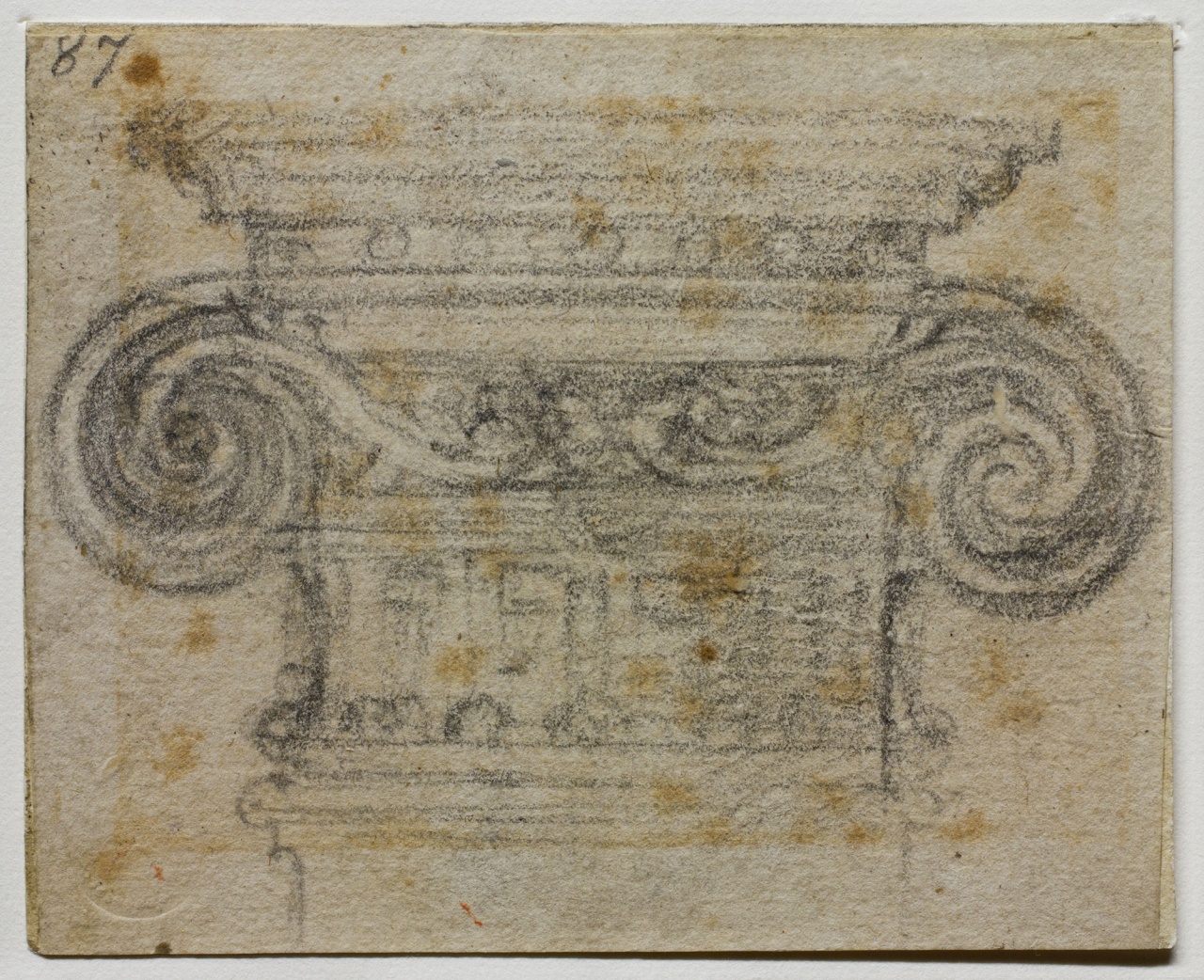 studio di capitello ionico (disegno) di Buonarroti Michelangelo (sec. XVI)