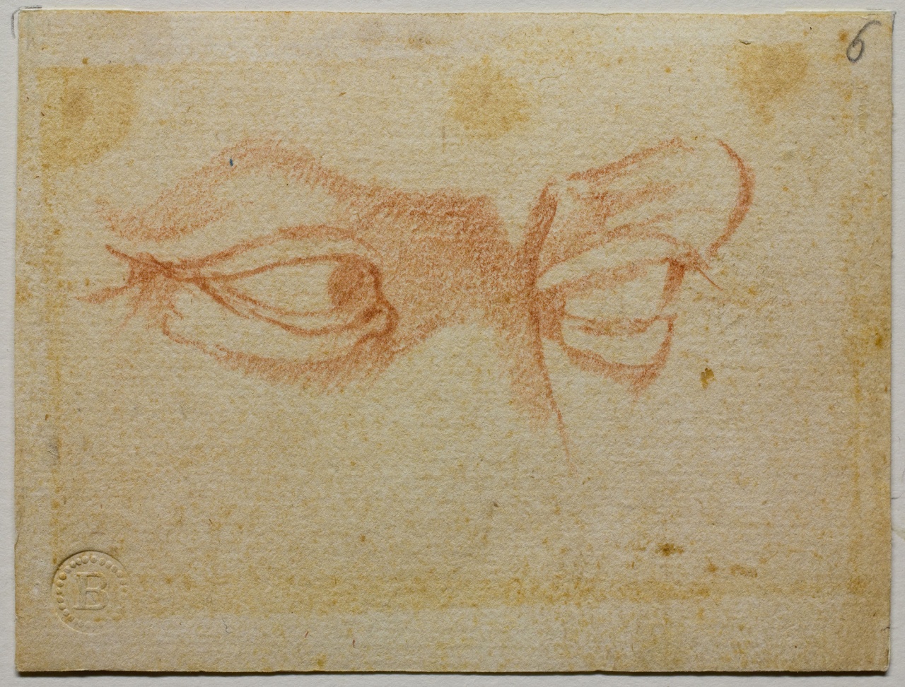 studio di occhi (disegno) di Buonarroti Michelangelo (scuola) (sec. XVI)