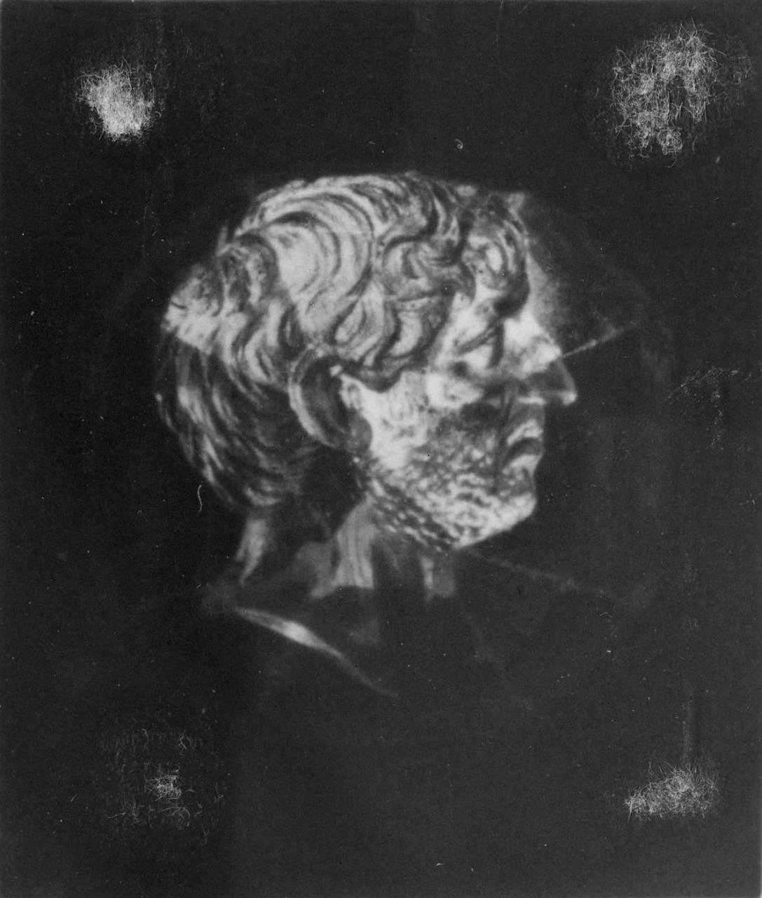 testa di Sesto Pompeo (decorazione a intaglio) di Natter Lorenz (prima metà sec. XVIII)