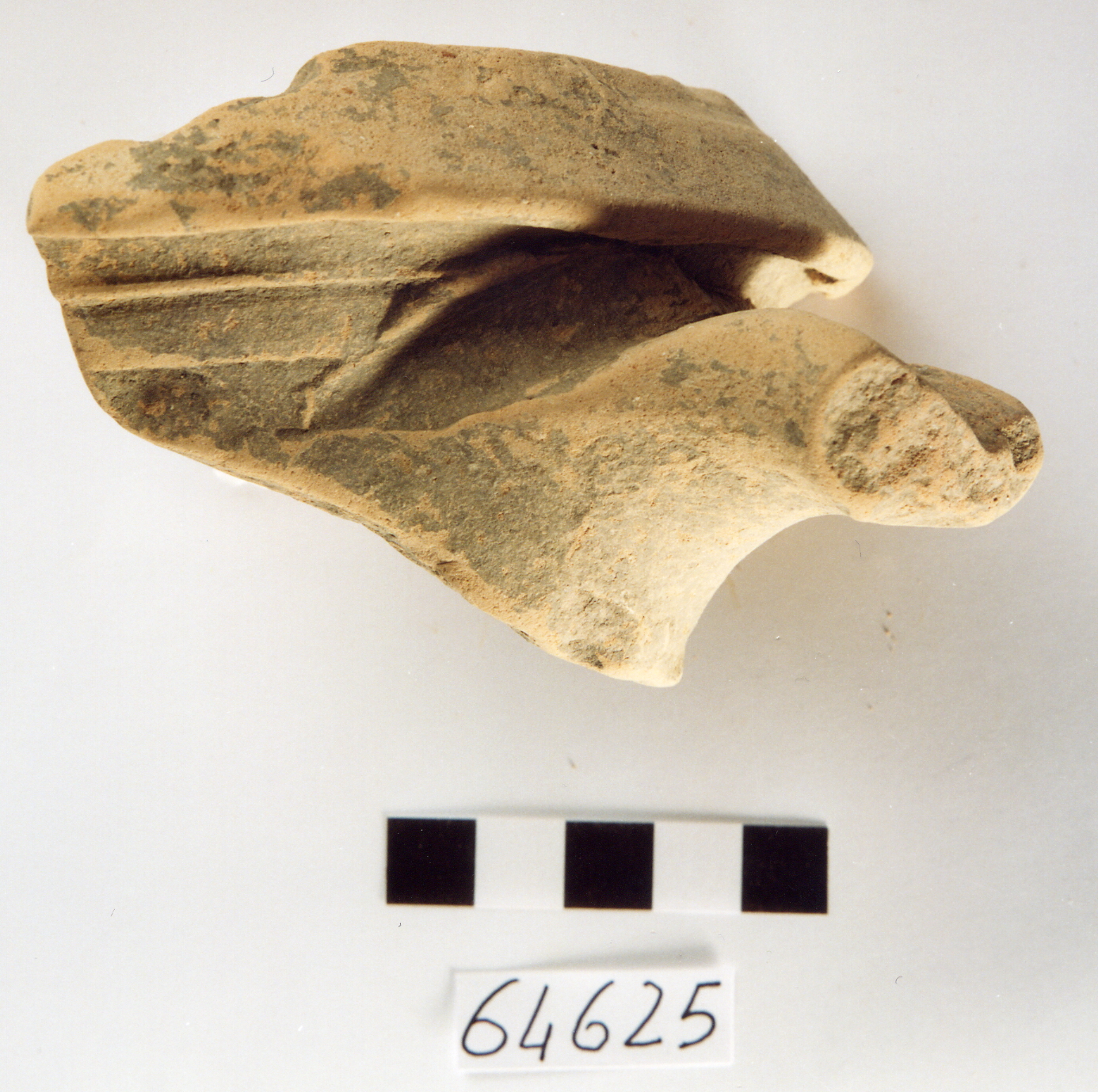 anfora/ frammento, anfora greco-italica (secc. III-II a.C)