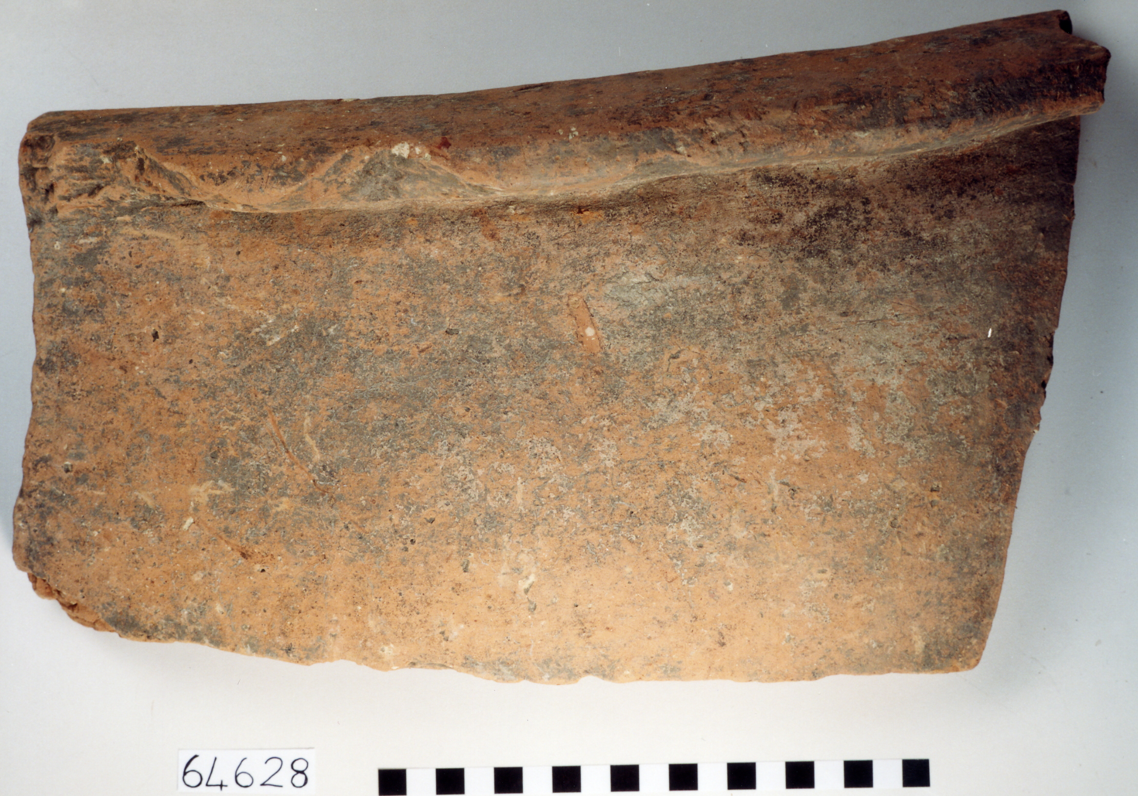 dolio/ frammenti (sec. II a.C)