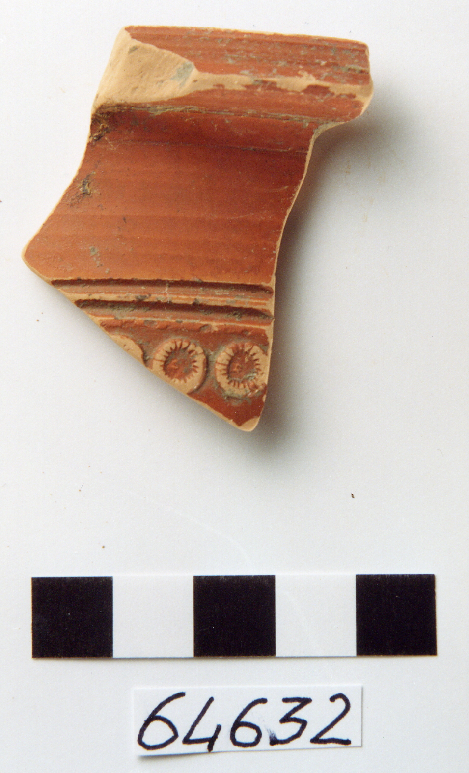 decorazopne fitomorfa (piatto/ frammento, Atlante XX/ Goudineau 16) (prima metà sec. I d.C)